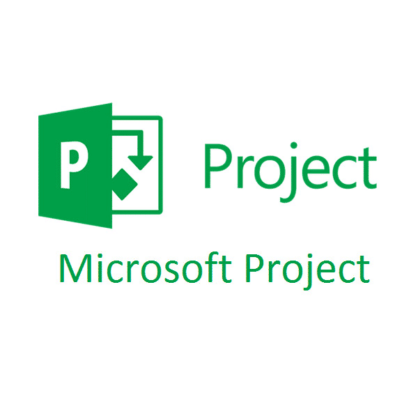 Formation MS Project